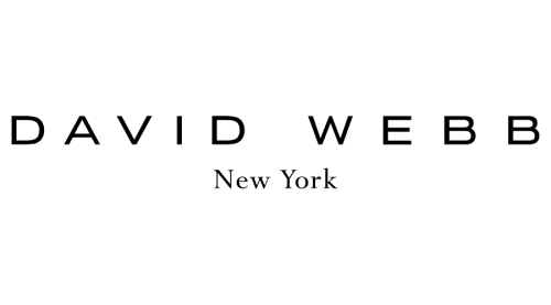 معرفی برند davidwebb
